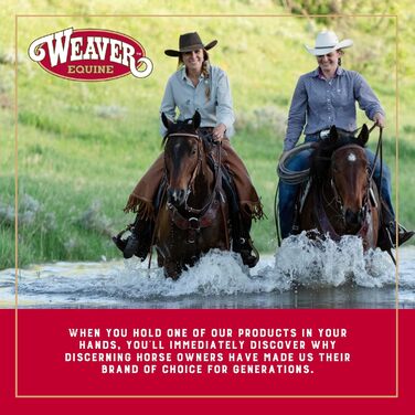 Набір для догляду за конем Insignia Weaver Leather (7 предметів)