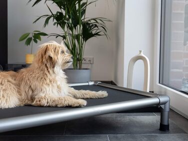 TrendPet HighBed: підняне ліжко для собак з алюмінію (105x80 см), преміум-якість