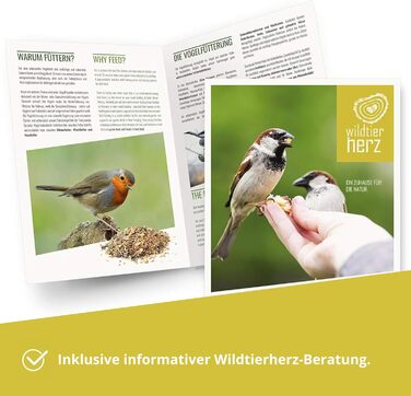 Підставка для синичників Wildtier Herz з нержавіючої сталі - годівниця для 4 синичників, стійка до погодних умов та довговічна, гігієнічна годівниця для цілорічного годування птахів - 38x10 см, срібна