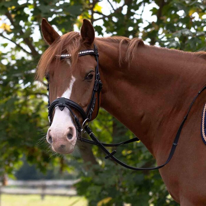 Гребінець для шерсті коня та собаки Marengos | Видаляє підшерсток та зимове хутро | Здорове шкірне покриття та блискуча шерсть | Гребінець для гриви коня | Допомога у линянні коней та собак | Аксесуари для коней