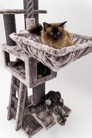 Дряпак для котів Petrebels Parklane 175 см, преміум, з XXL гамаком, спальним будиночком, диваном, товсті стовпи, кольору капучино