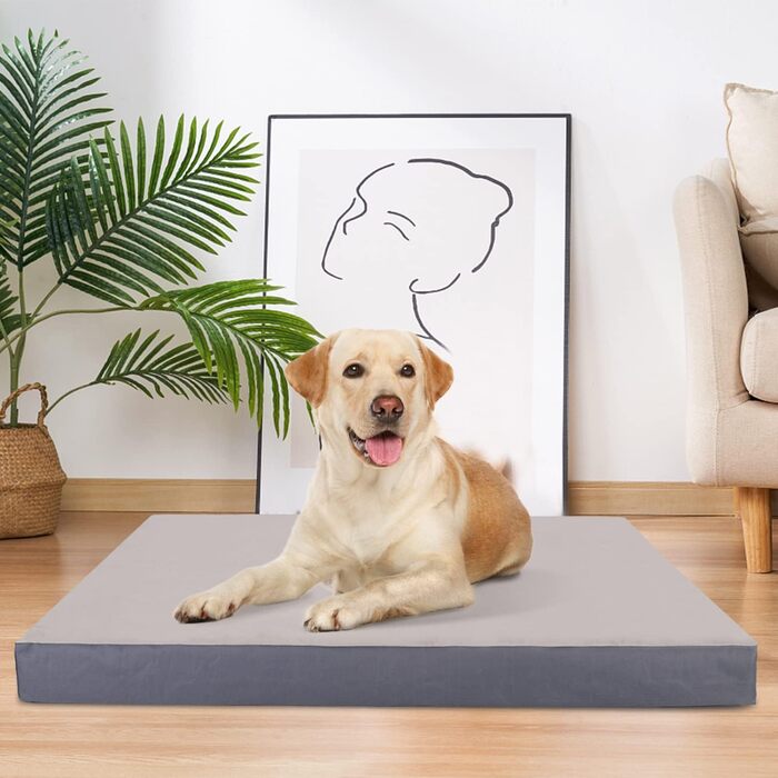 Ліжко для великих собак Nobleza 110x80x8 см, ортопедичний матрац для собак XL, сірий, знімний чохол, придатний для прання