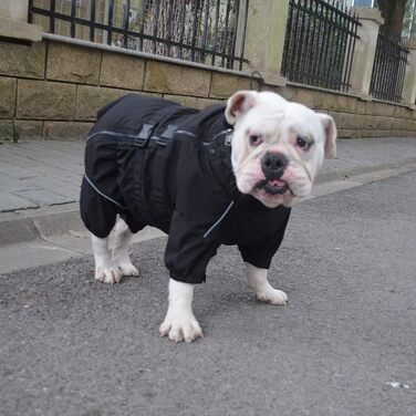 Водонепроникна куртка для собак, легка, світловідбиваюча, безпечна, вітро- та снігонепроникна жилетка для бульдогів, чорна, B-L