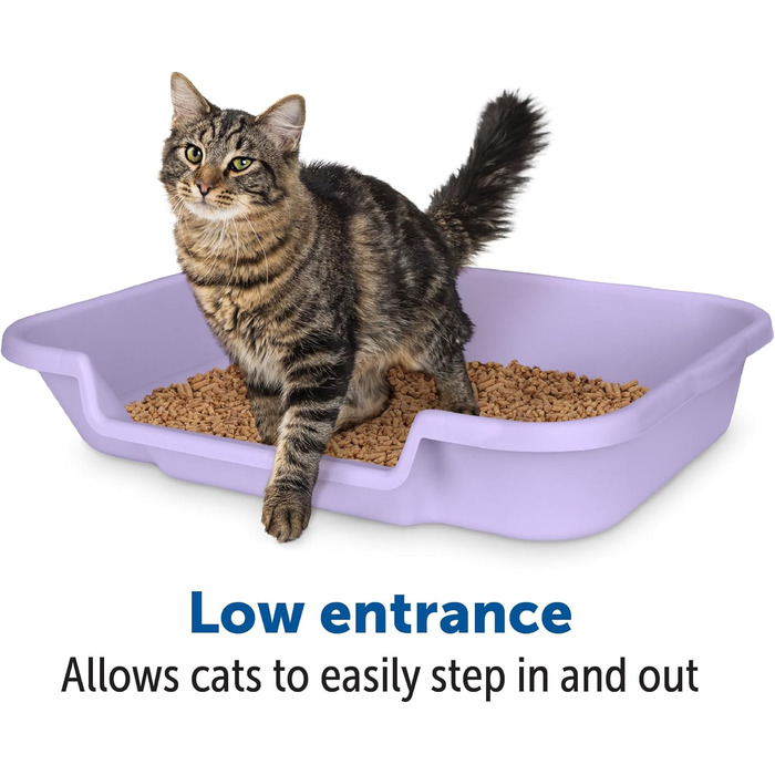 Котячий туалет Kitty Go Here Senior для літніх котів, без кришки, лаванда, США