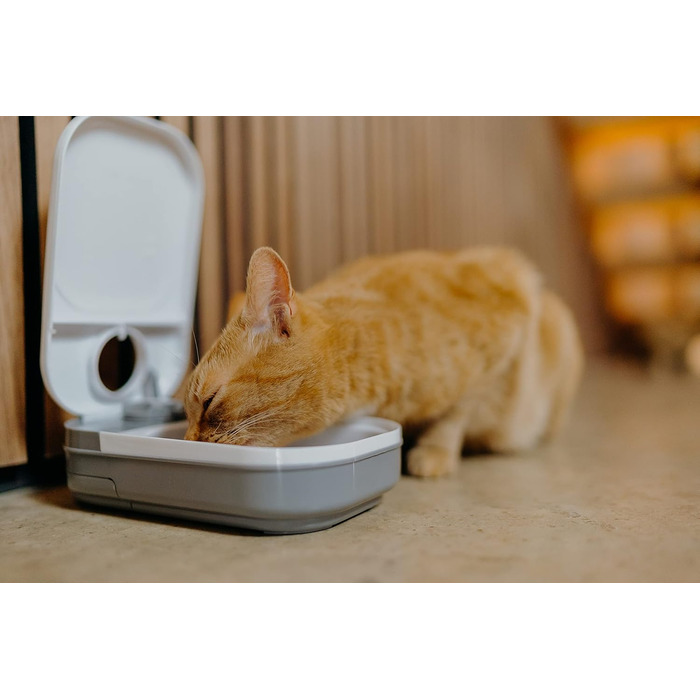Cat Mate C100 автоматична годівниця з таймером для котів і малих собак, для вологого та сухого корму, до 400 г, біла