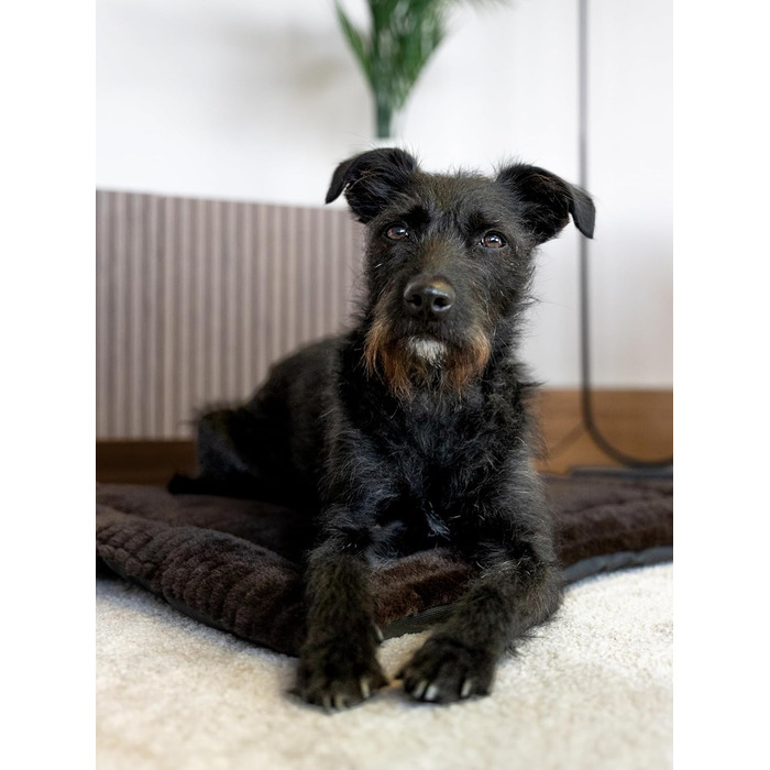 М'яка підстилка Harmony Flex для собак та котів, 50x35 см, з водонепроникним дном