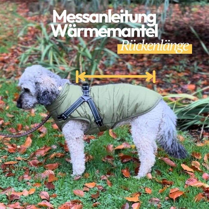 Водонепроникний зимовий одяг для собак Extreme 2.0 - теплий та зручний, з шлейкою та світловідбиваючими смугами (S)