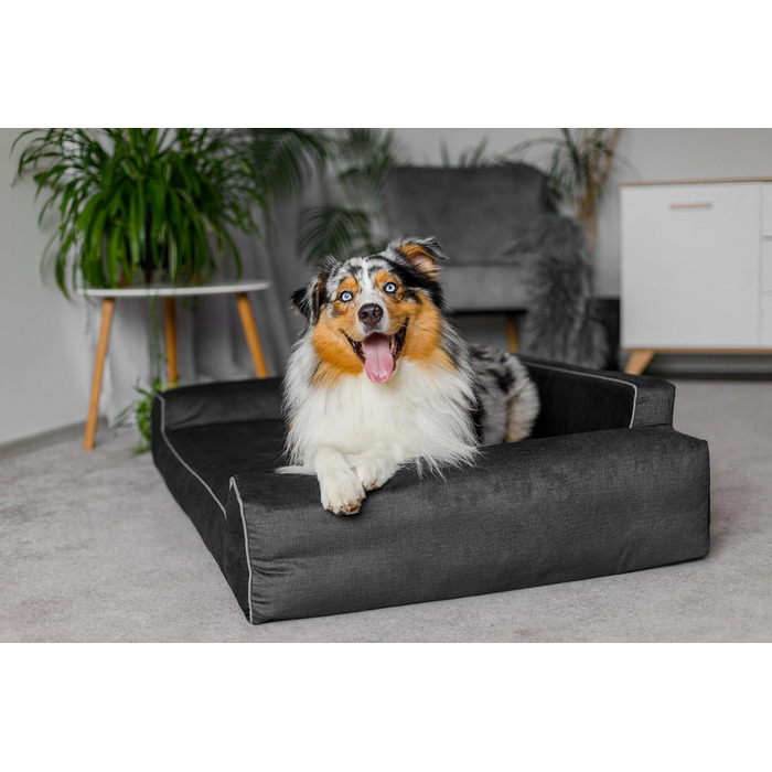 Ліжко для собак - кошик для собак маленьких, середніх та великих порід - подушка для собак - диванчик для собак - знімний та пральний чохол - Glamour New - розмір L: 98 x 66 см (XL - 116 x 78 см, Графіт Fancy)