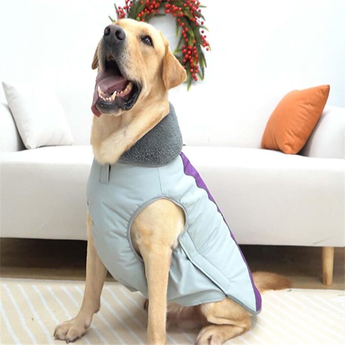 Водонепроникний зимовий одяг для собак - тепла куртка з флісовою підкладкою та захистом живота, для малих, середніх та великих собак (Lila, M)