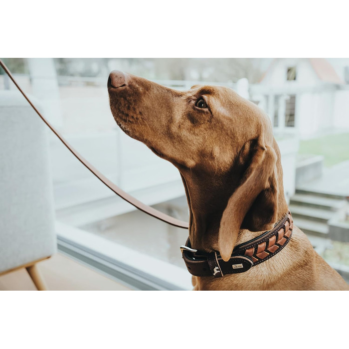 Нашийник для собак Hunter El Paso, шкіряний, плетений, розмір M-L, темно-коричневий/чорний