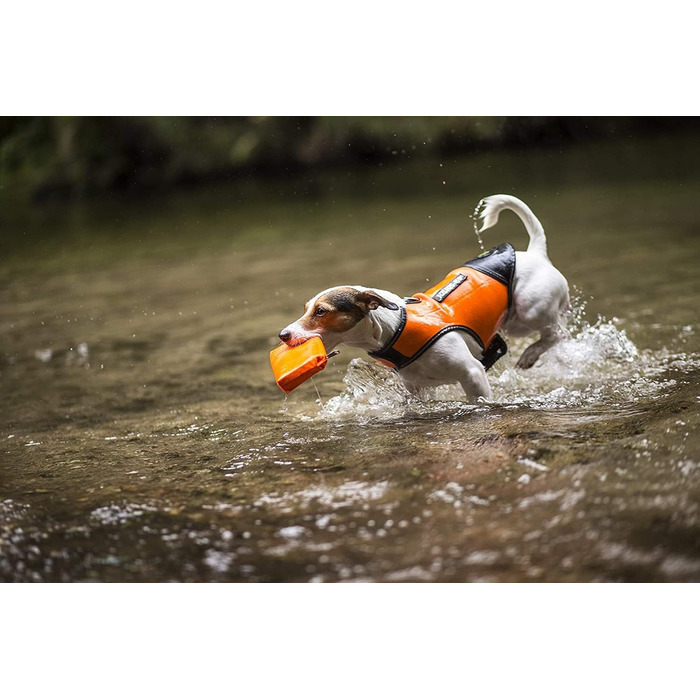 Одяг для собак Julius-K9 IDC Neopren Baby, оранжевий та чорний