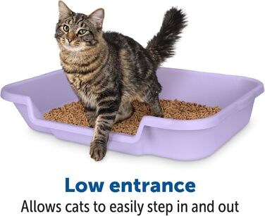 Котячий туалет Kitty Go Here Senior для літніх котів, без кришки, лаванда, США