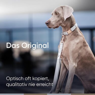 Нашийник для собак Freudentier з веганської шкіри, подарунковий мішечок, м'який, регульований та міцний, для середніх та великих собак, обхват шиї 34-49 см, ширина 2 см