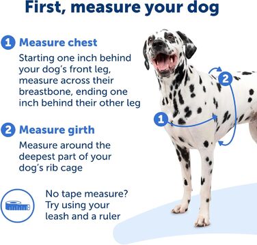 Шлея для собак PetSafe Easy Walk, анти-тягова, регульована