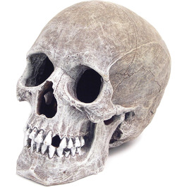 Декорація для акваріума Blue Ribbon Rosewood - Реалістичний череп людини, 15.2 x 20.3 x 15.2 см