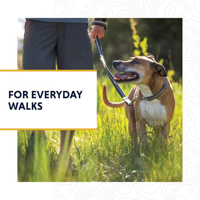 Нашийник для собак RUFFWEAR Chain Reaction, синій, розмір M