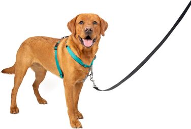 Шлея для собак PetSafe 3-в-1, анти-тягова, з автокріпленням, рефлекторами, ручкою, розмір L, чорна/синя/фіолетова