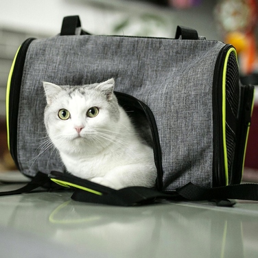 Переноска для котів та собак, м'яка сумка-контейнер для малих і середніх тварин, зелена