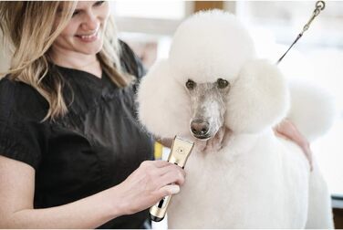 Машинка для стрижки тварин ELEOPTION: тиха, бездротова, акумуляторна для собак та котів