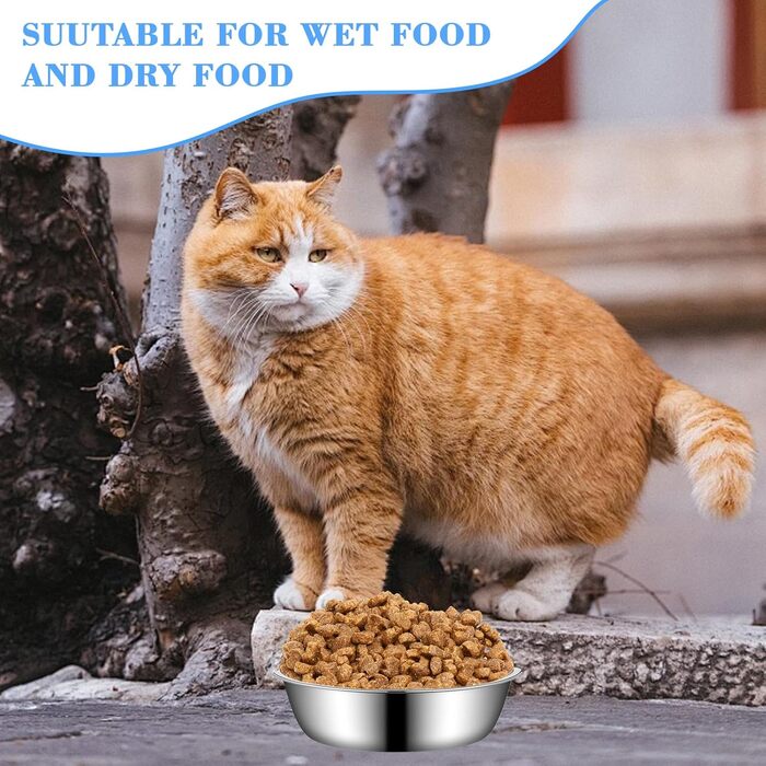 Набір мисок для котів з нержавіючої сталі, 3 шт. Підвищені миски для котів, цуценят та тварин, миски для корму та води