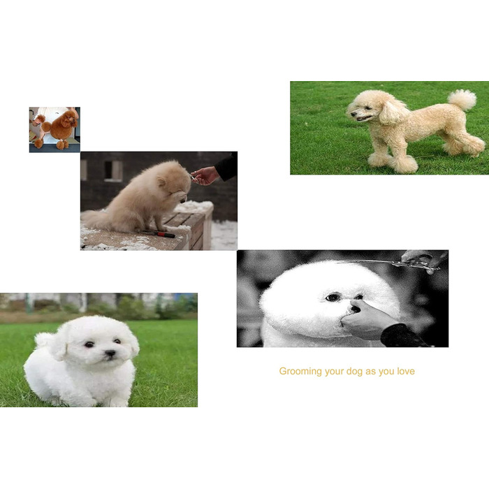 Професійна феншер для домашніх тварин KKO, 7.0