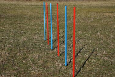 Набір для тренувань Wuzzmann Agility: Slalom з гнучких стержнів (6шт) синій/червоний