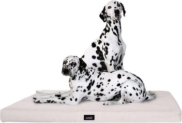 Ортопедичний лежак для собак Tierlando Alice з міцного поліестеру 600D, віскоеластичний матрац з неслизьким дном, розмір 80x60 см, колір: кремовий