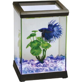 Набір для бійцівської рибки Ocean Free AT619A з LED підсвіткою, чорний