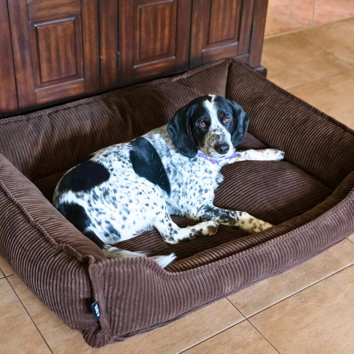 М'яке собаче ліжко 4L Textil Hugo Premium-LINE: ортопедичне, з memory foam, 60x40 см, для маленьких собак