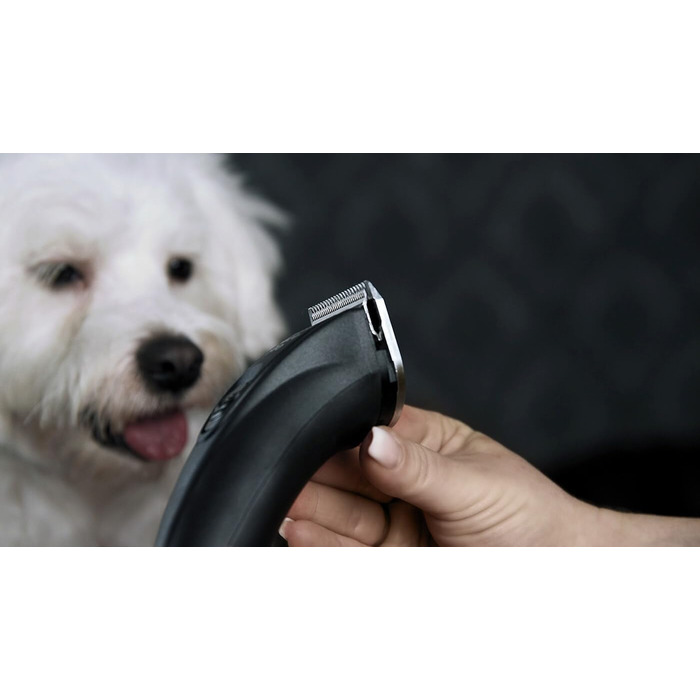 Машинка для стрижки собак Rotschopf24 Edition Arco Pro: акумуляторна, для професійного використання, з чохлом. 44204 (1 акумулятор)