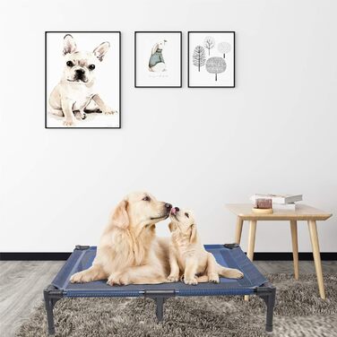 Підвищені лежанки для собак Suddus, червоні, розмір M (великі, червоні) (36' x 30' x 7', блакитні)