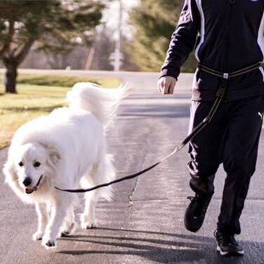 Світловідбиваючий повідок для собак Caldwell's Pet Supply Co. для бігу, прогулянок та походів, універсальний, чорний, для великих і малих собак