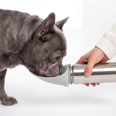 Paula Hundetrinkflasche 500 мл: портативна пляшка для води для собак | Пляшка для собак