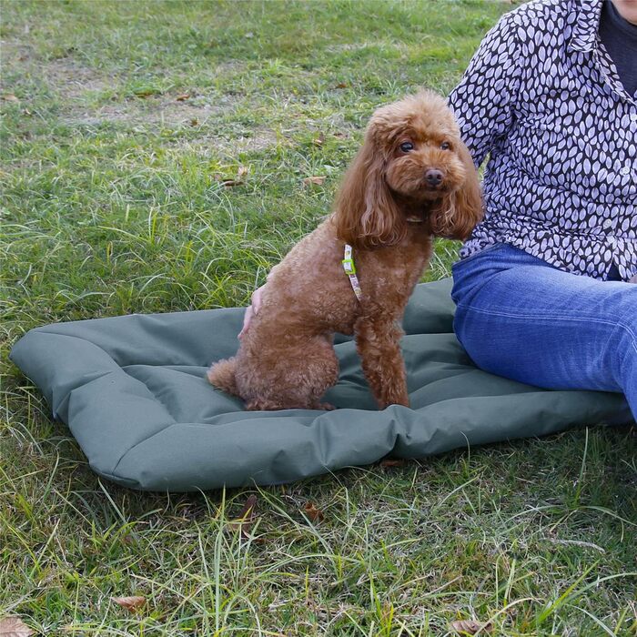 Килимок для собак Bangminda: водонепроникний, для подорожей та кемпінгу, 90x60 см, сірий