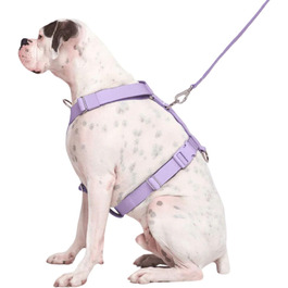 колір: пурпур