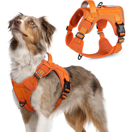 Нагрудник для собак Rabbitgoo середнього розміру, анти-тяга, регульований, з ручкою, міцний, тактичний, з металевими пряжками, для прогулянок (M, Помаранчевий)