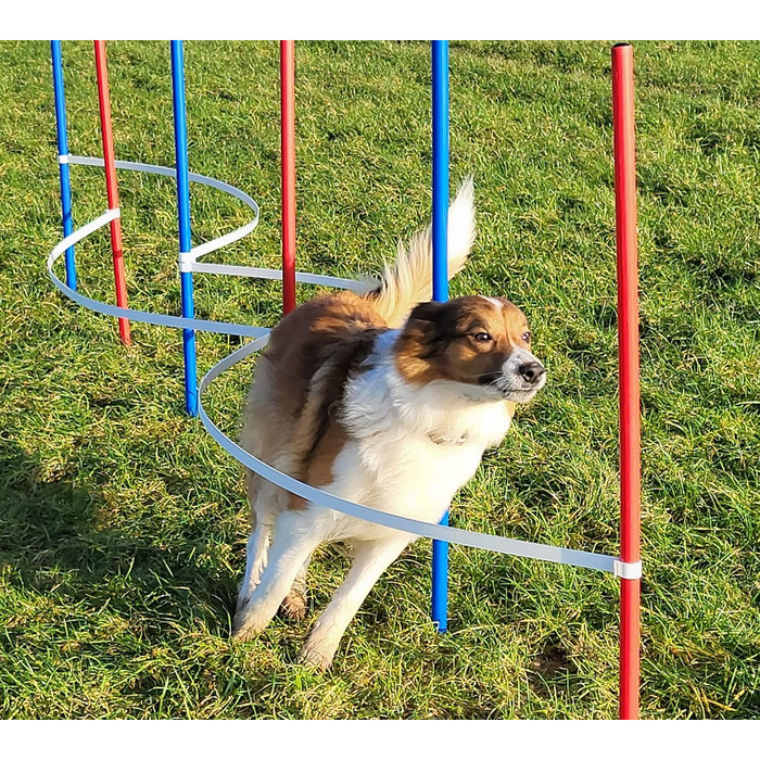 Набір для фристайлу Wuzzmann Agility: 4 боулінгові/тренувальні арки + 6 шлагбаумів (червоний/синій)