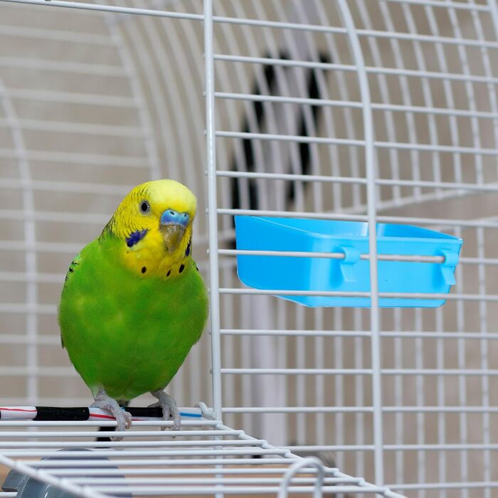 12 годівниць для кроликів Uiifan, 425 мл: годівниці та поїлки для птахів, курячих та морських свинок