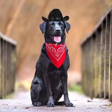 Ковбойський костюм для тварин: капелюх та бандана. Вечірковий аксесуар для собак та котів. Чорний комплект для святкування дня народження в мексиканському стилі.