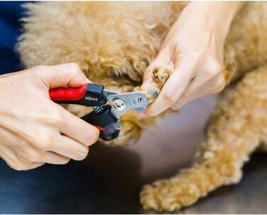 Професійний кусачки для нігтів собак та котів, рожевий, з захистом від надмірної обрізки