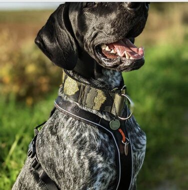Камуфляжний нашийник для собак, широка стрічка 4 см, м'яка підкладка, військовий стиль, зручна застібка-клік, регульований, оливково-золотий-чорний (до 48 см)