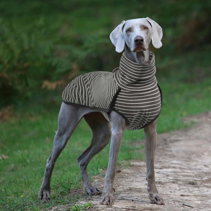 Зимовий одяг для собак ROZKITCH: теплий пуловер/комбінезон, захист від вітру, для маленьких, середніх та великих собак, сіро-білі смуги, 2XL (довжина спини: 22-25 дюймів)