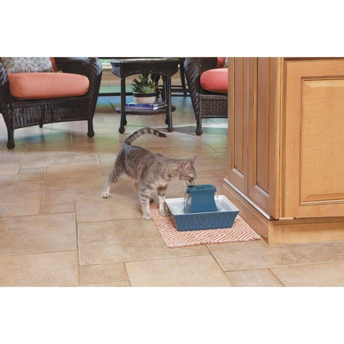 Керамічний фонтан PetSafe Drinkwell Pagoda для води для собак і котів, з фільтром, 2 л, синій