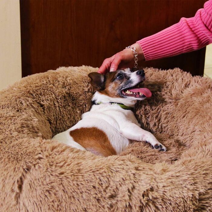 Лежак для собак Mediashop Peaceful Pooch XL 109 см, бежевий, плюш, знімний і водовідштовхувальний чохол, антиковзкий, ортопедичний, для великих собак