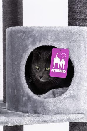 Котячий дряпак Petrebels Charlotte 134 см, преміум-якість, з гамаком, лежаком і будкою, сірий