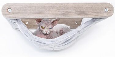 Petrebels Лазіння стіна для котів, підвісна лежанка Lazy 50 см, настінний дряпак преміум, котяче ліжко, монтаж на стіну, дерево, колір дуб-антрацит