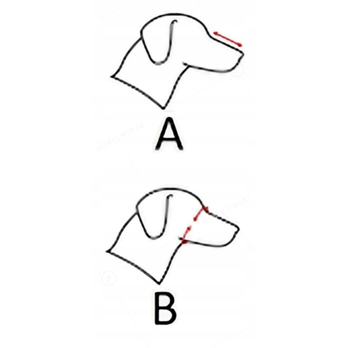 Шкіряний намордник для собаки Champion, вівчарка німецька, W3 38/11,5 см