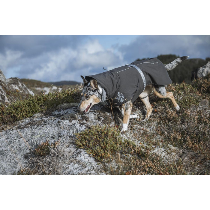 Теплий зимовий одяг для собак Hurtta Extreme Warmer, 60 см, колір: Бромбірка