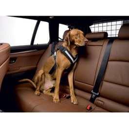 Пояс безпеки для собак KLEINMETALL Allafe, розмір L