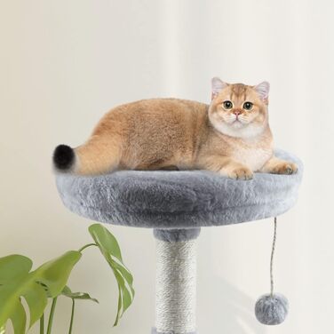 Дряпка для котів MIAO PAW 11Cat, сіра, сизаль